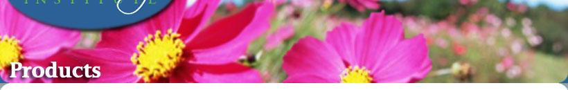 headerphoto